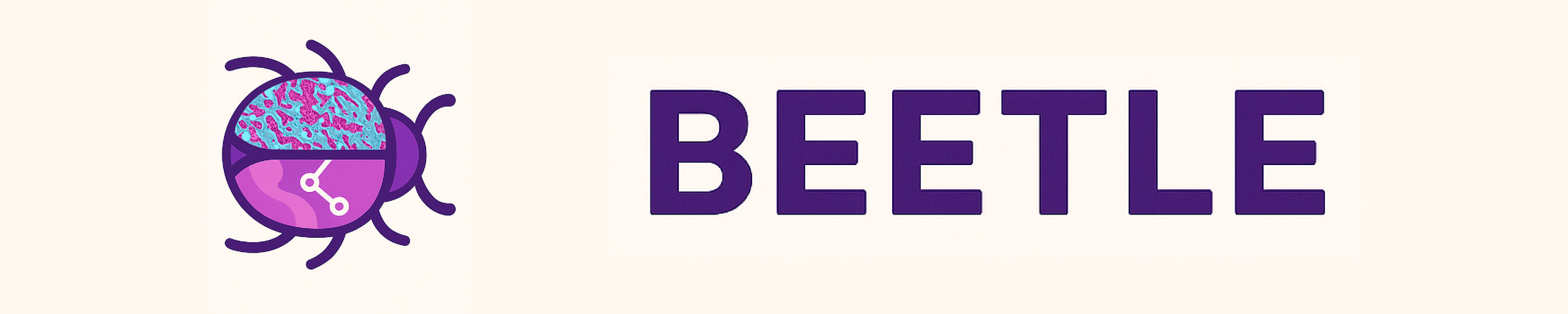 BEETLE Banner