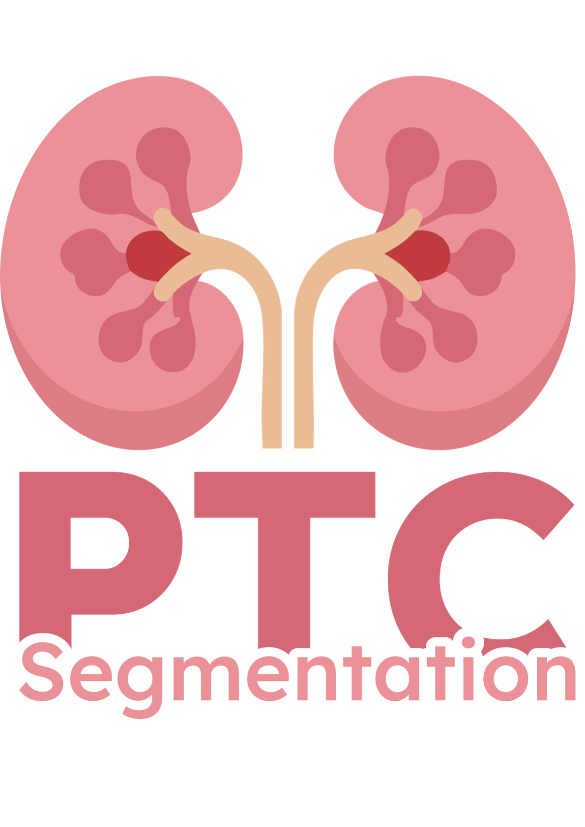 Logo for PTC Segmentation