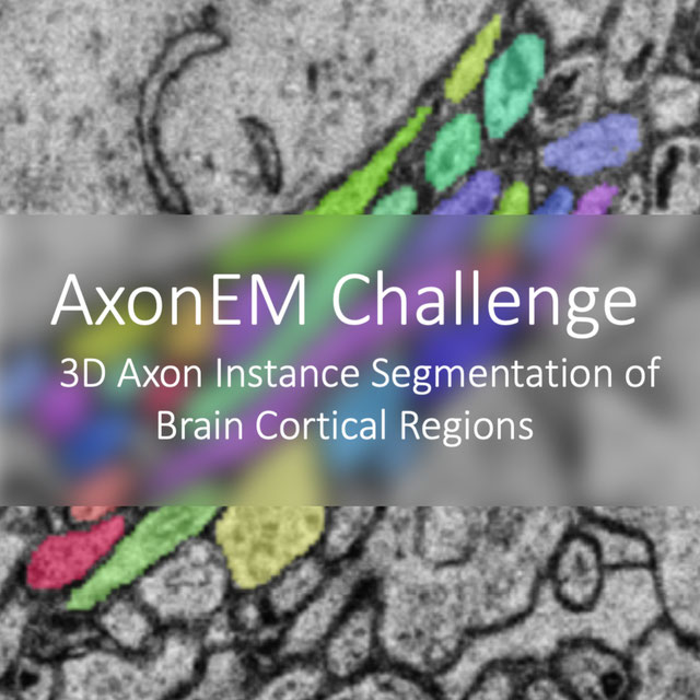 AxonEM logo