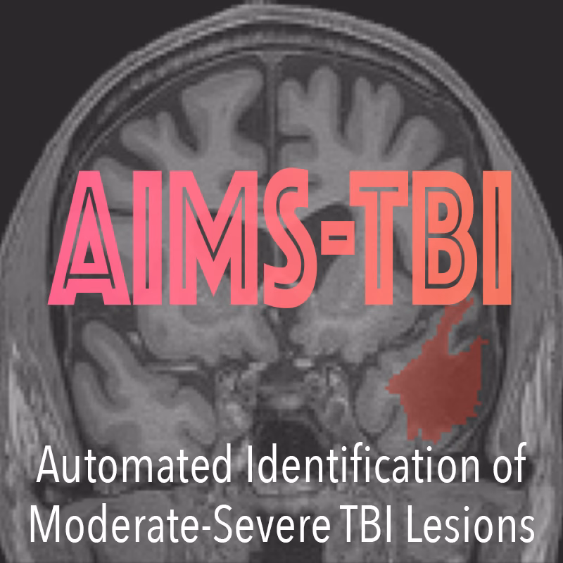 AIMS-TBI 2026 official conference logo