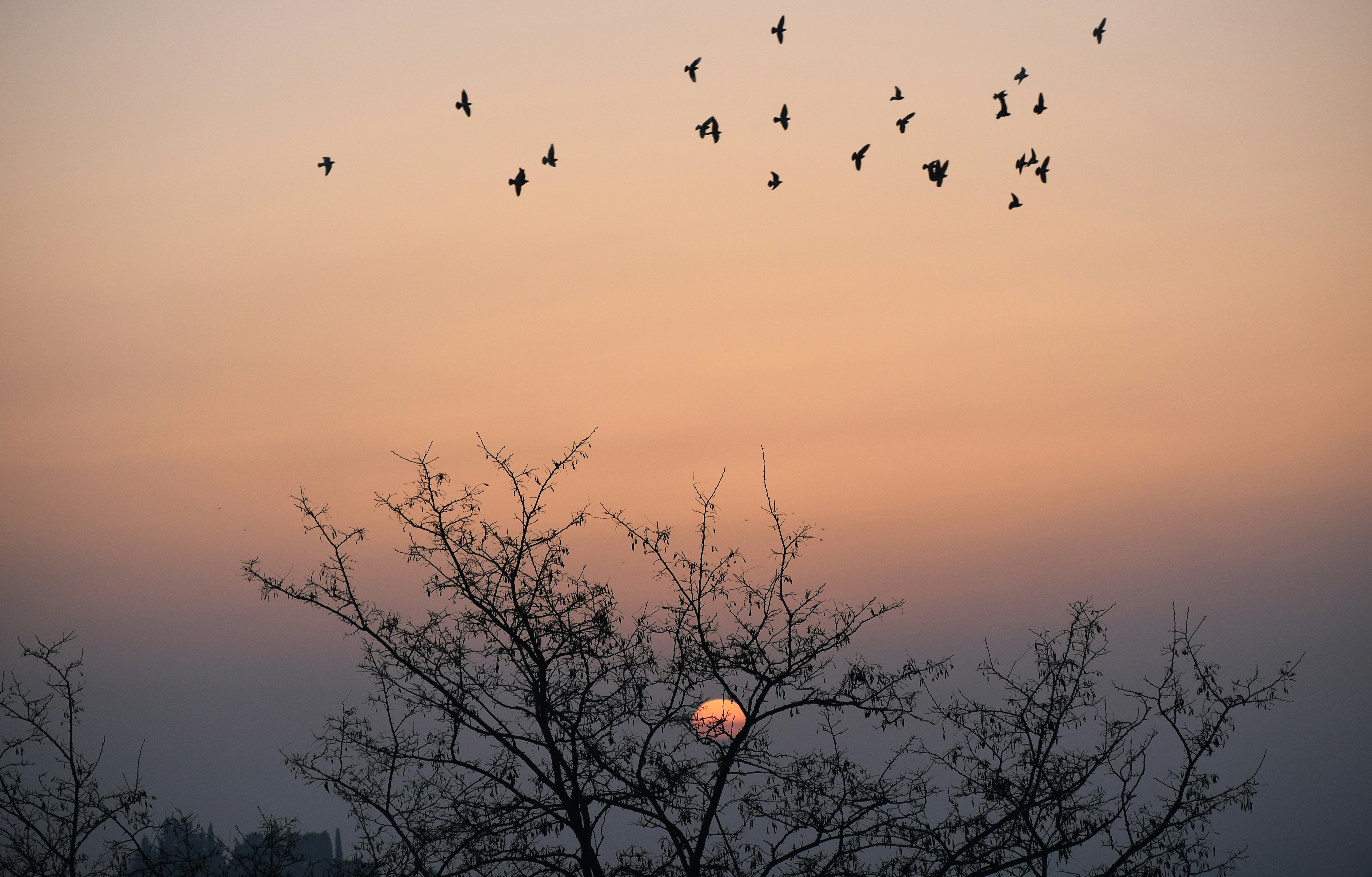 March 2026 Cycle Report